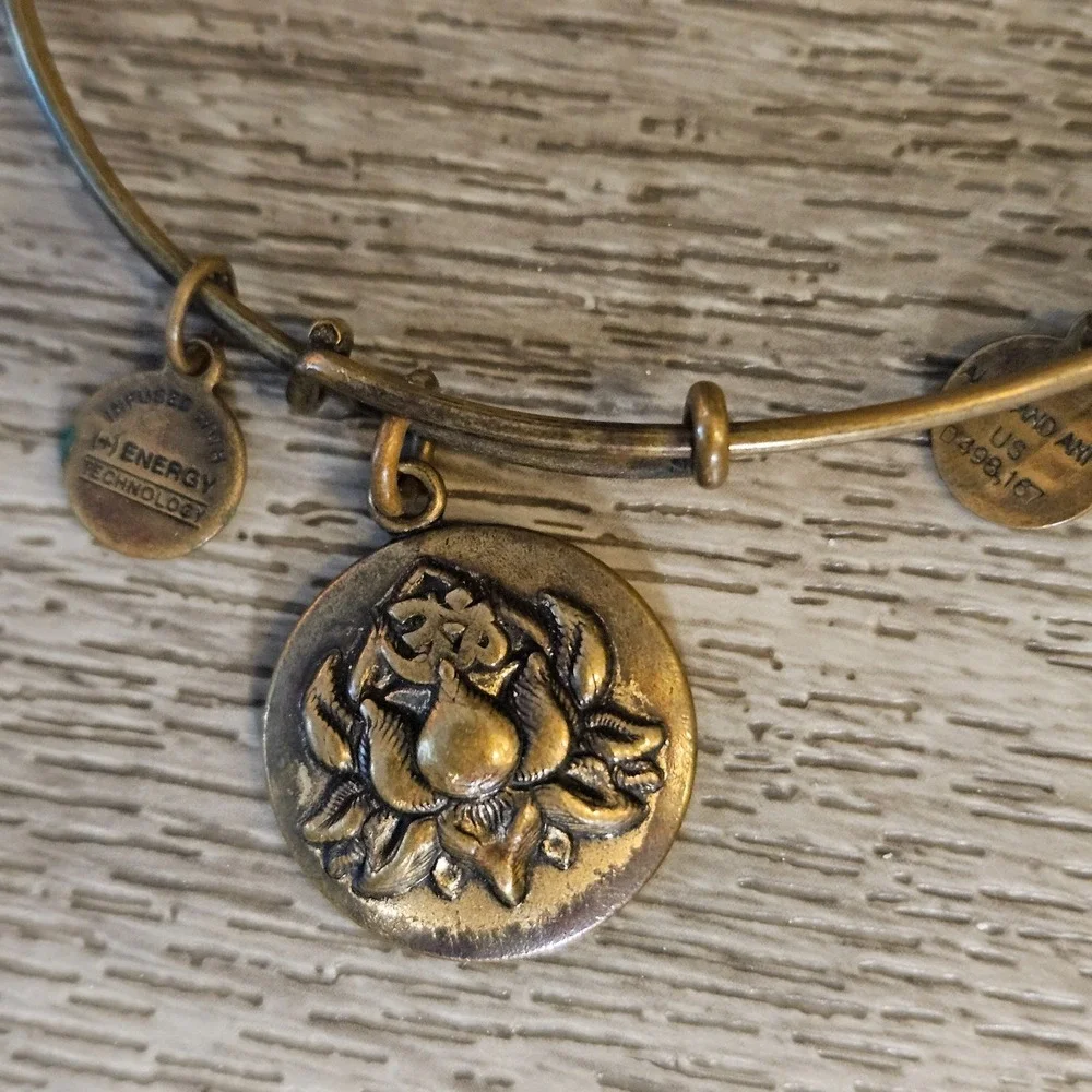 Alex And Ani Lotus Peace Petals Rafaelian Charm Bangle Bracelet